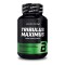 Tribulus Maximus 90tbl